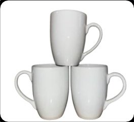 Coral Mug